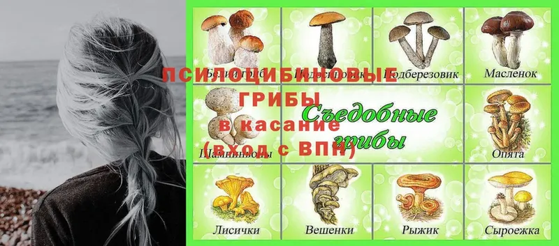 Псилоцибиновые грибы MAGIC MUSHROOMS  хочу наркоту  Раменское 